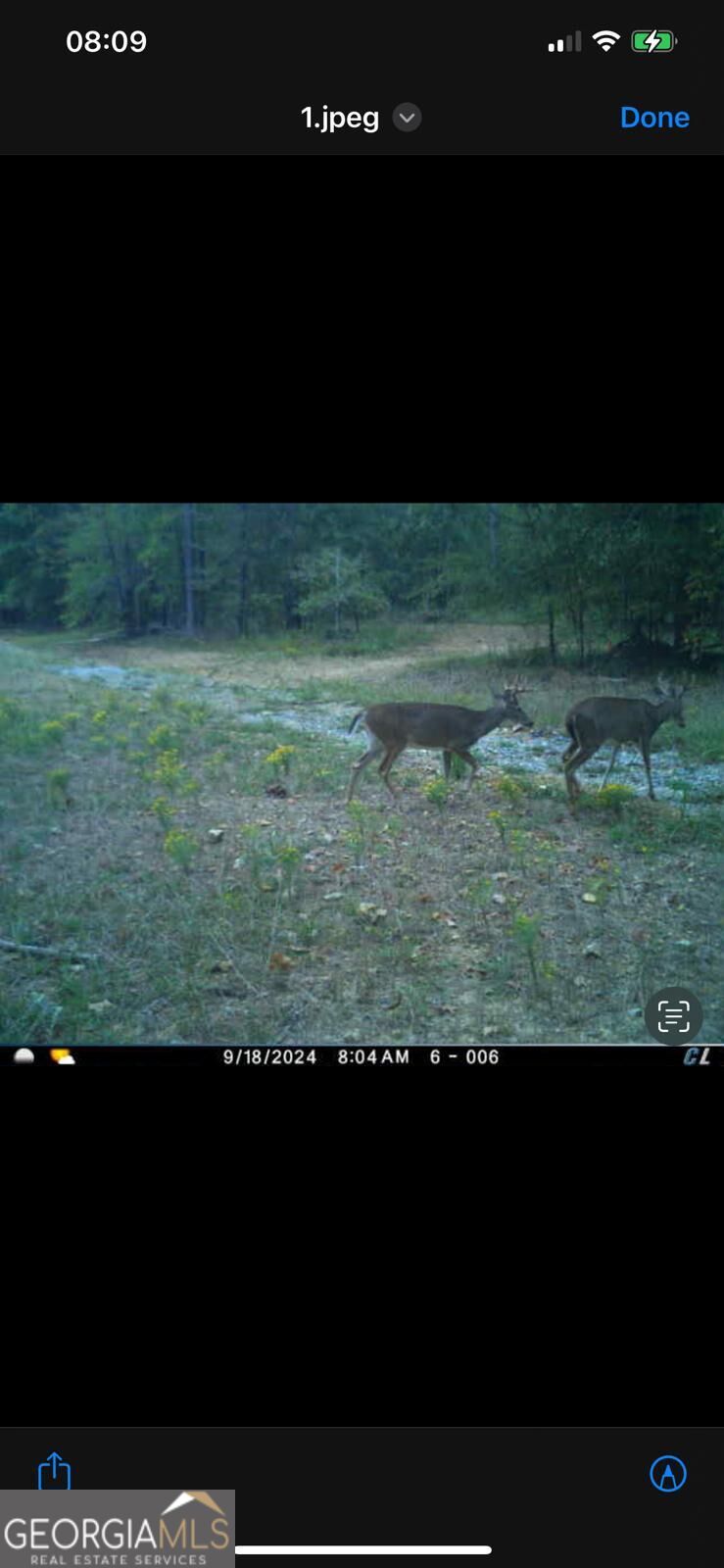 92 Lillian Strong Road Carlton GA 30627