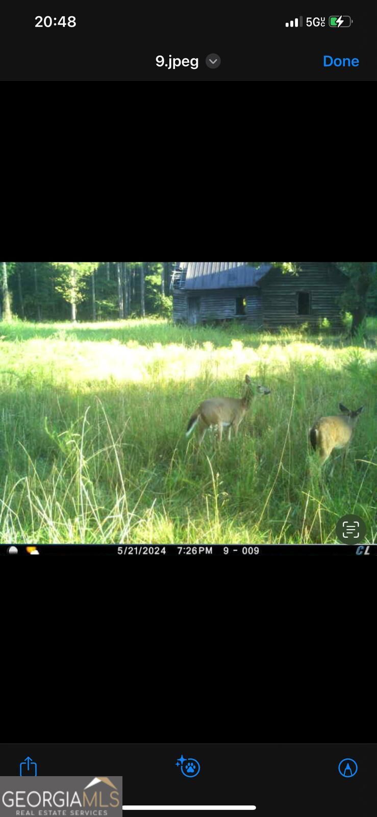 92 Lillian Strong Road Carlton GA 30627