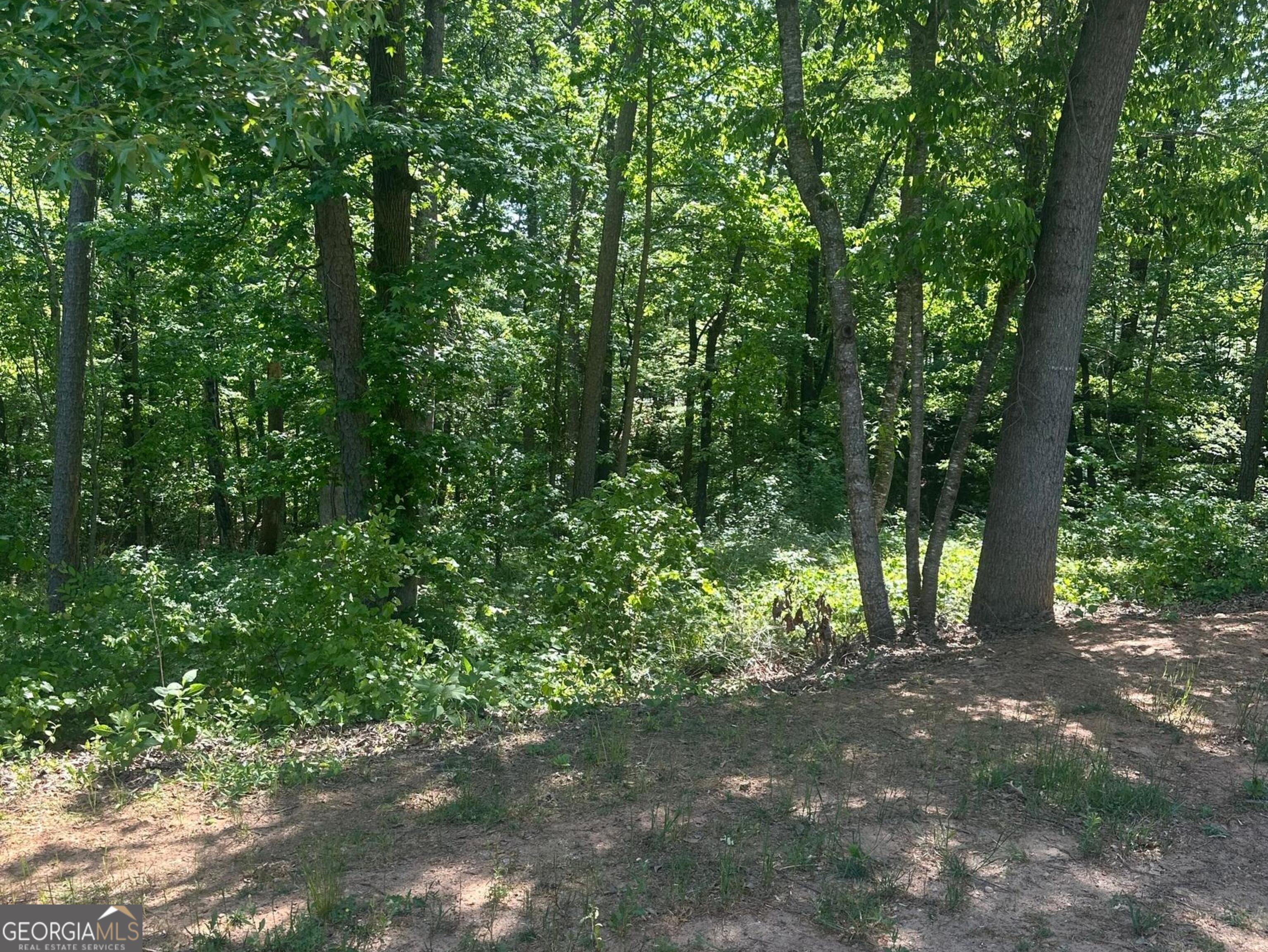 0 Hammers Glen Drive Homer GA 30547