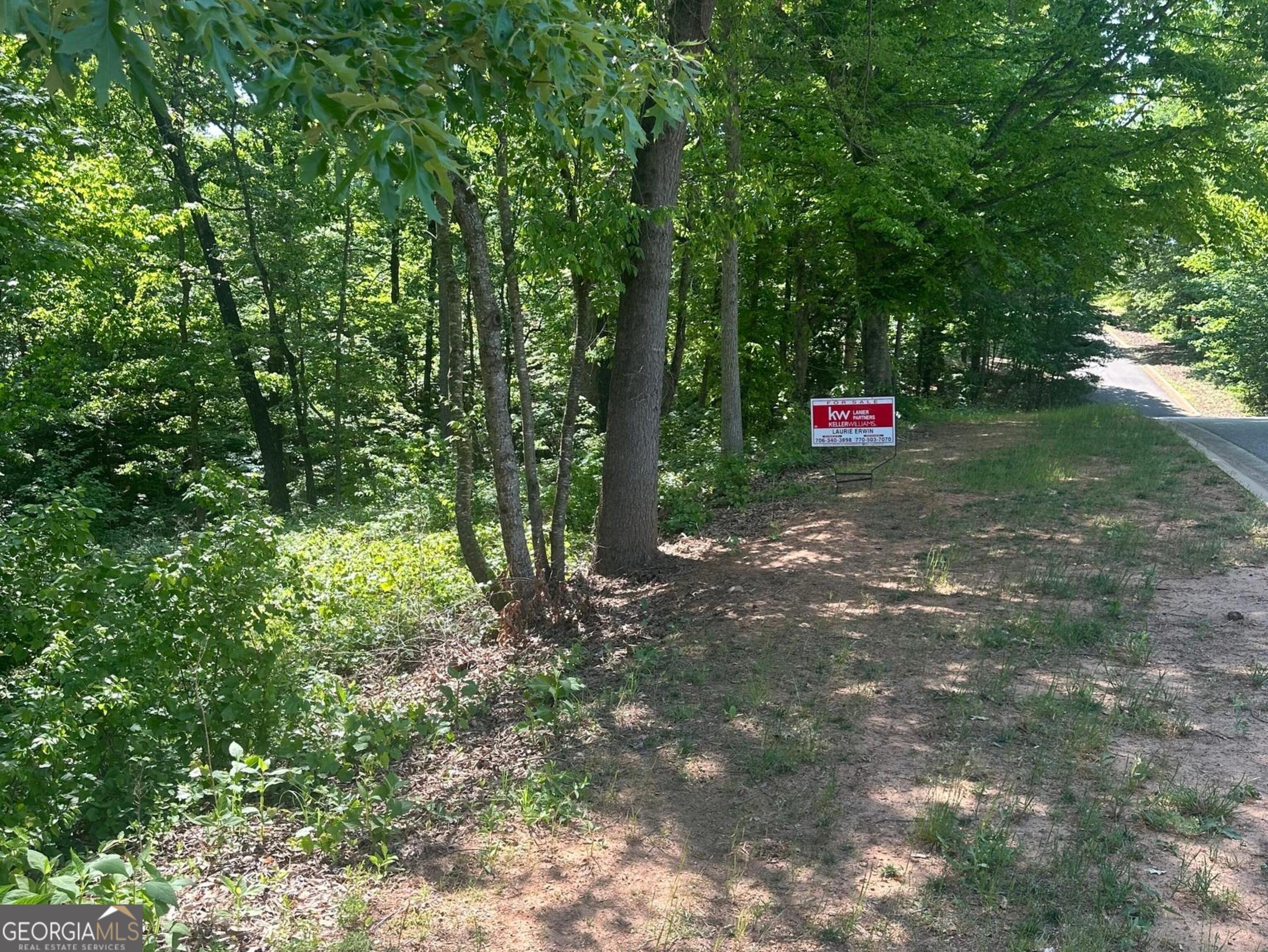 0 Hammers Glen Drive Homer GA 30547