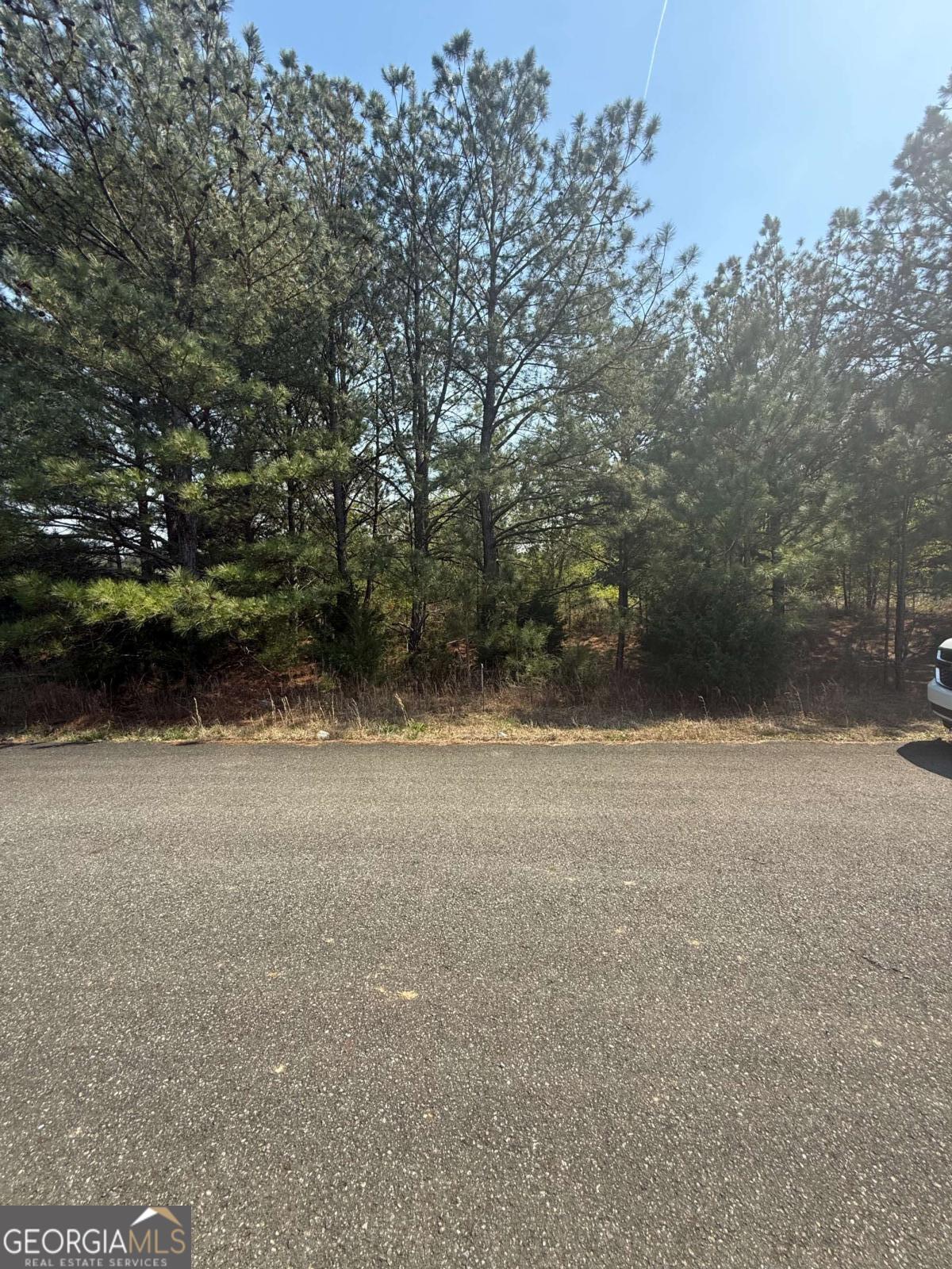 14 Russler Way Rydal GA 30171