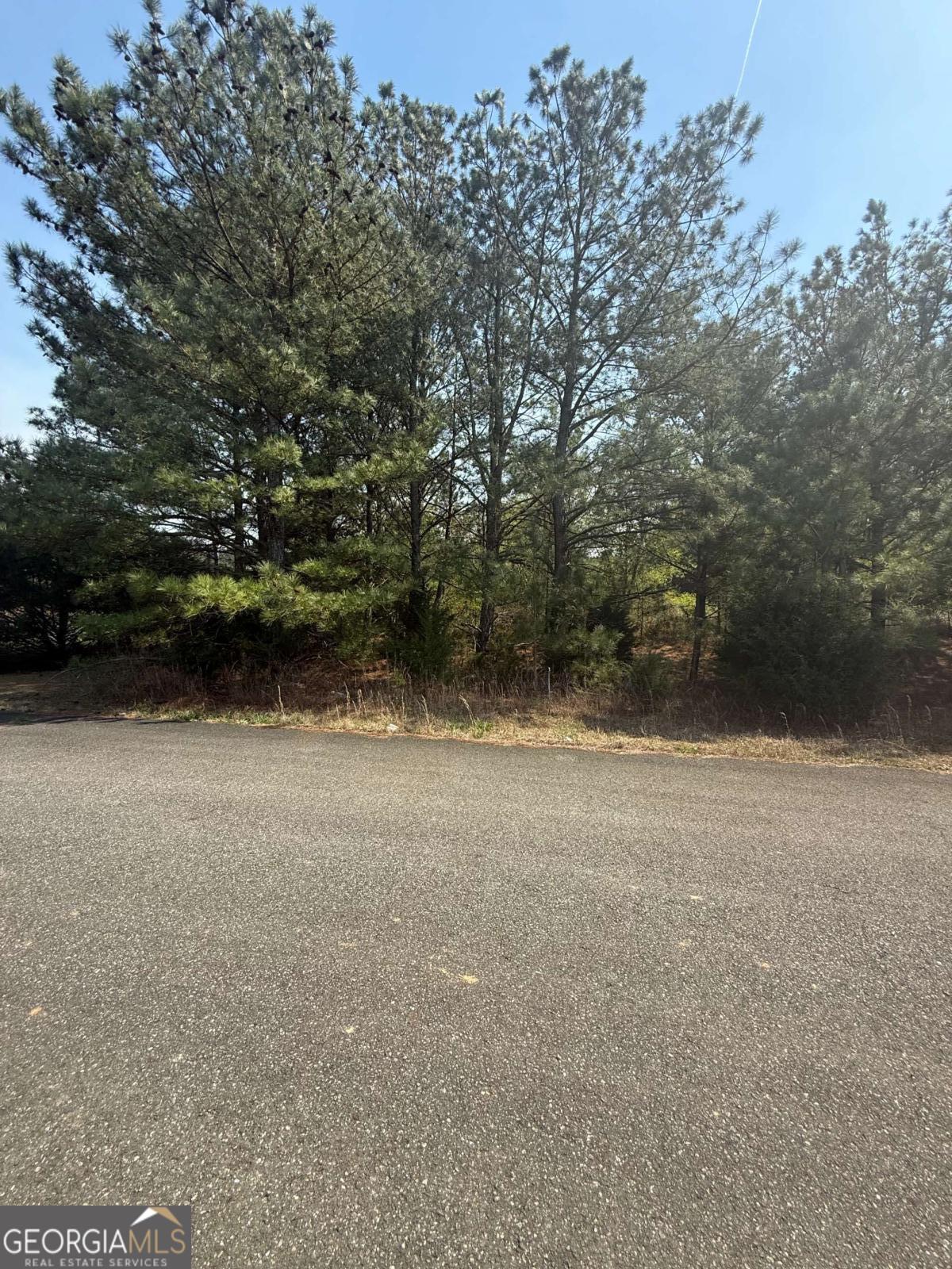 14 Russler Way Rydal GA 30171