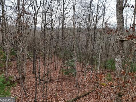 0 Dills Road Blue Ridge GA 30513