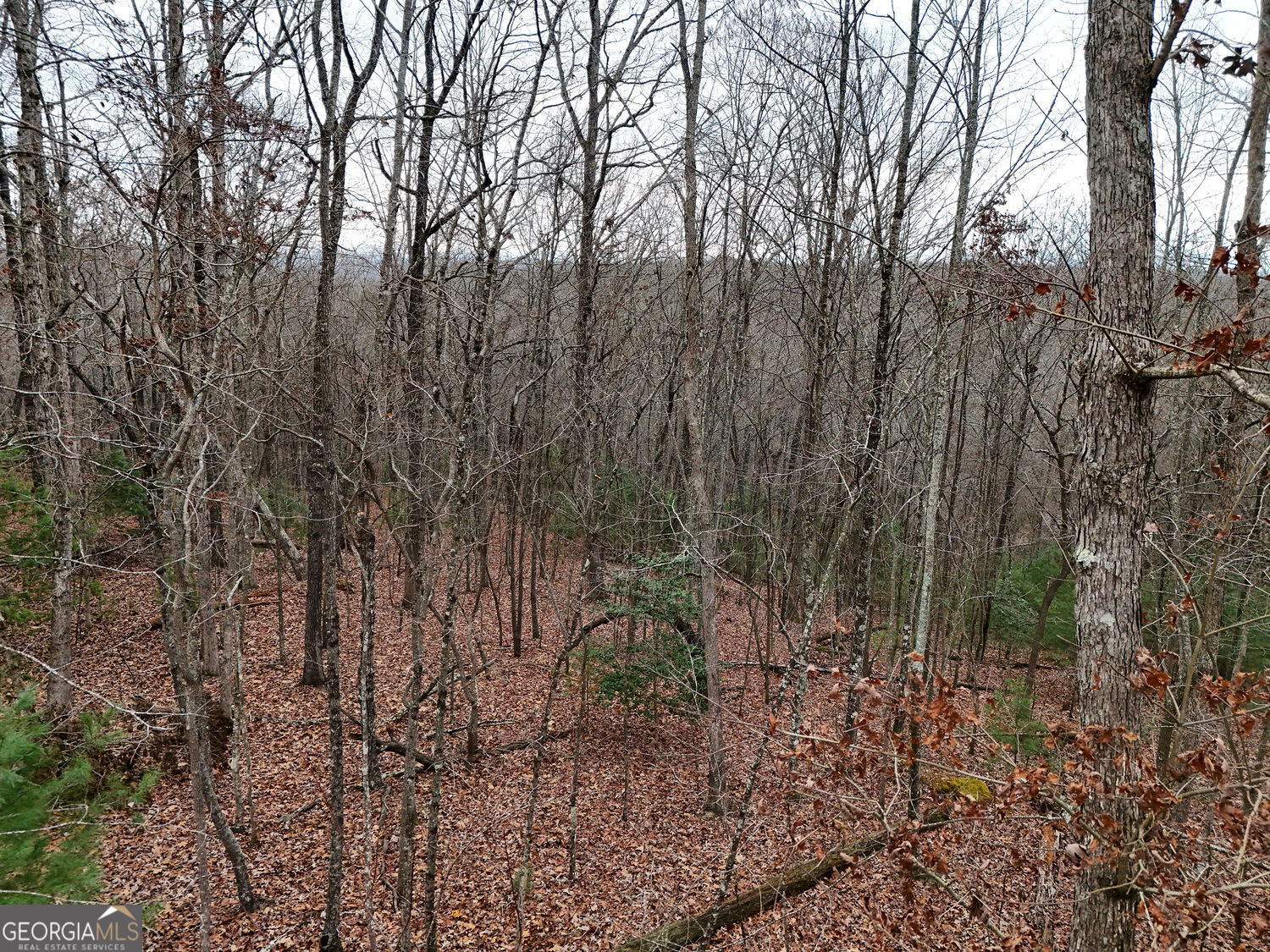 0 Dills Road Blue Ridge GA 30513