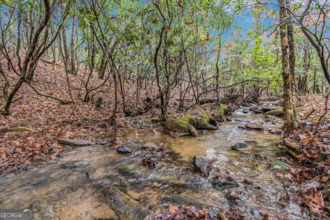 0 Dills Road Blue Ridge GA 30513