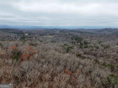 0 Dills Road Blue Ridge GA 30513