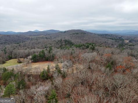0 Dills Road Blue Ridge GA 30513