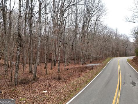 0 Dills Road Blue Ridge GA 30513