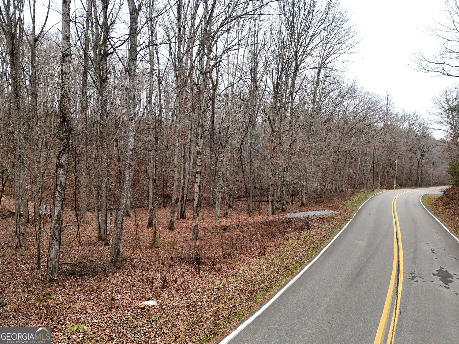 0 Dills Road Blue Ridge GA 30513