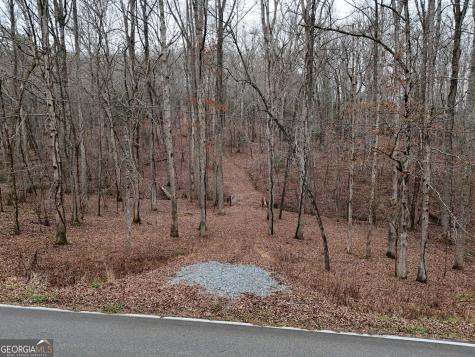 0 Dills Road Blue Ridge GA 30513
