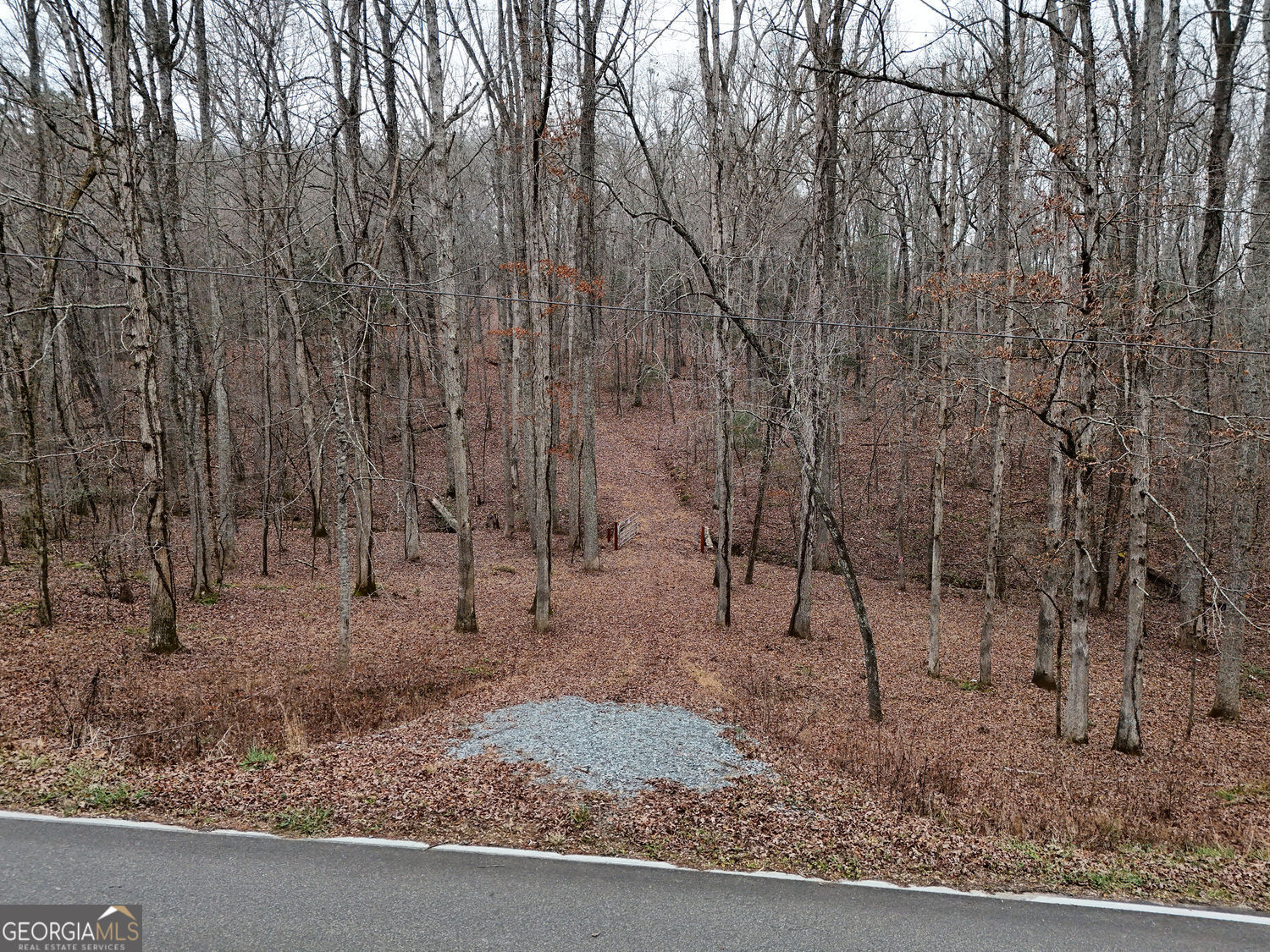 0 Dills Road Blue Ridge GA 30513