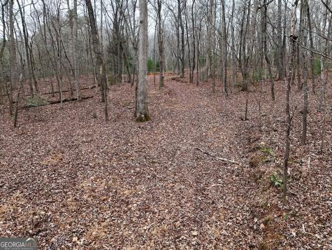 0 Dills Road Blue Ridge GA 30513