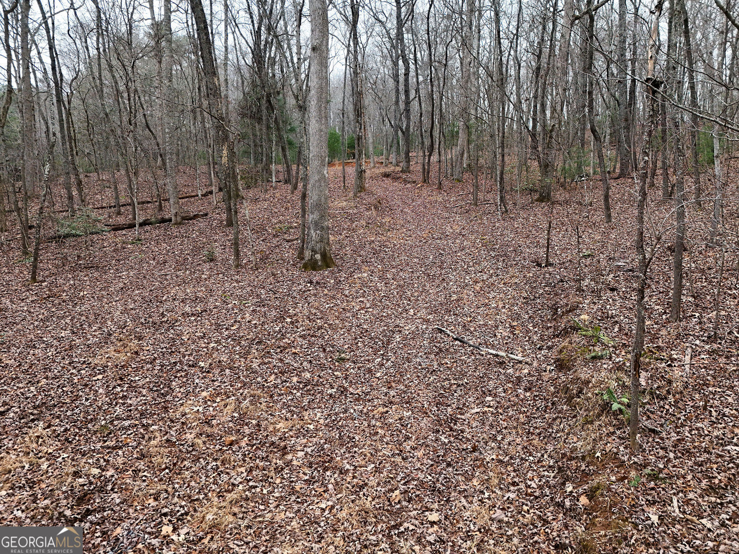 0 Dills Road Blue Ridge GA 30513