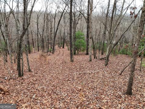 0 Dills Road Blue Ridge GA 30513