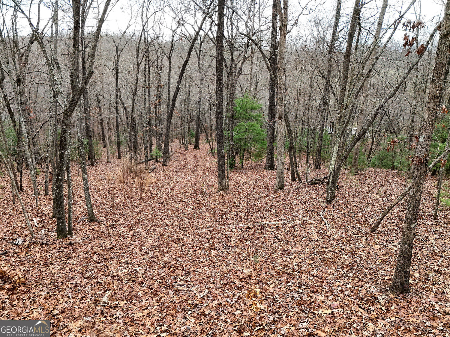 0 Dills Road Blue Ridge GA 30513