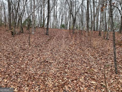 0 Dills Road Blue Ridge GA 30513