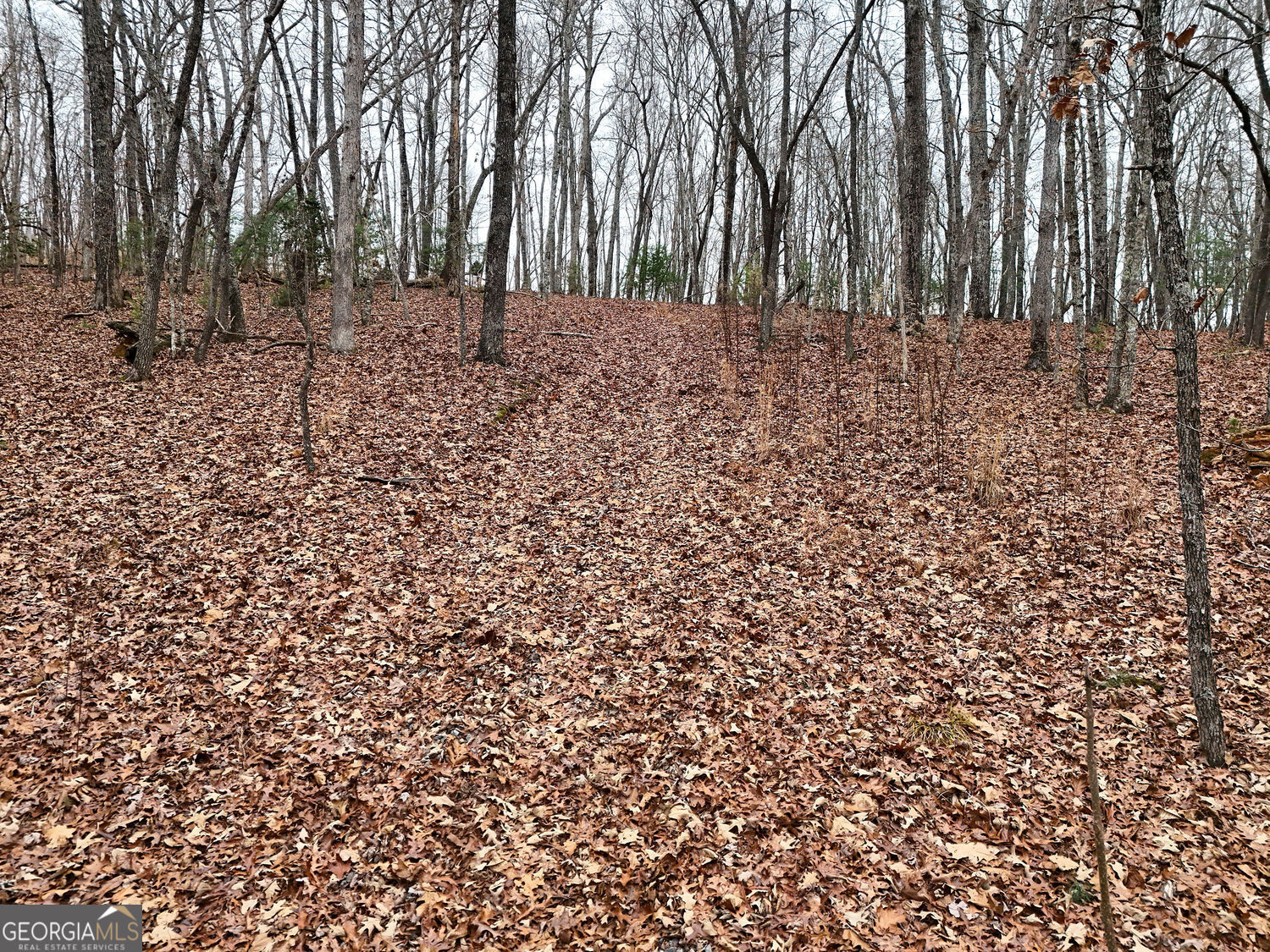 0 Dills Road Blue Ridge GA 30513