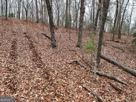 0 Dills Road Blue Ridge GA 30513
