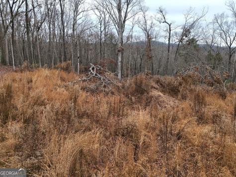 0 Dills Road Blue Ridge GA 30513