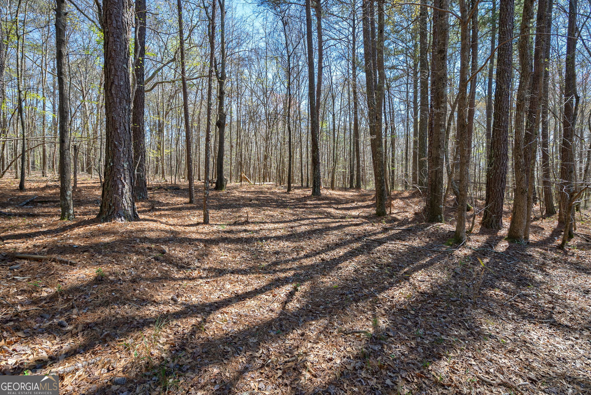 0 Poplar Street Monroe GA 30655