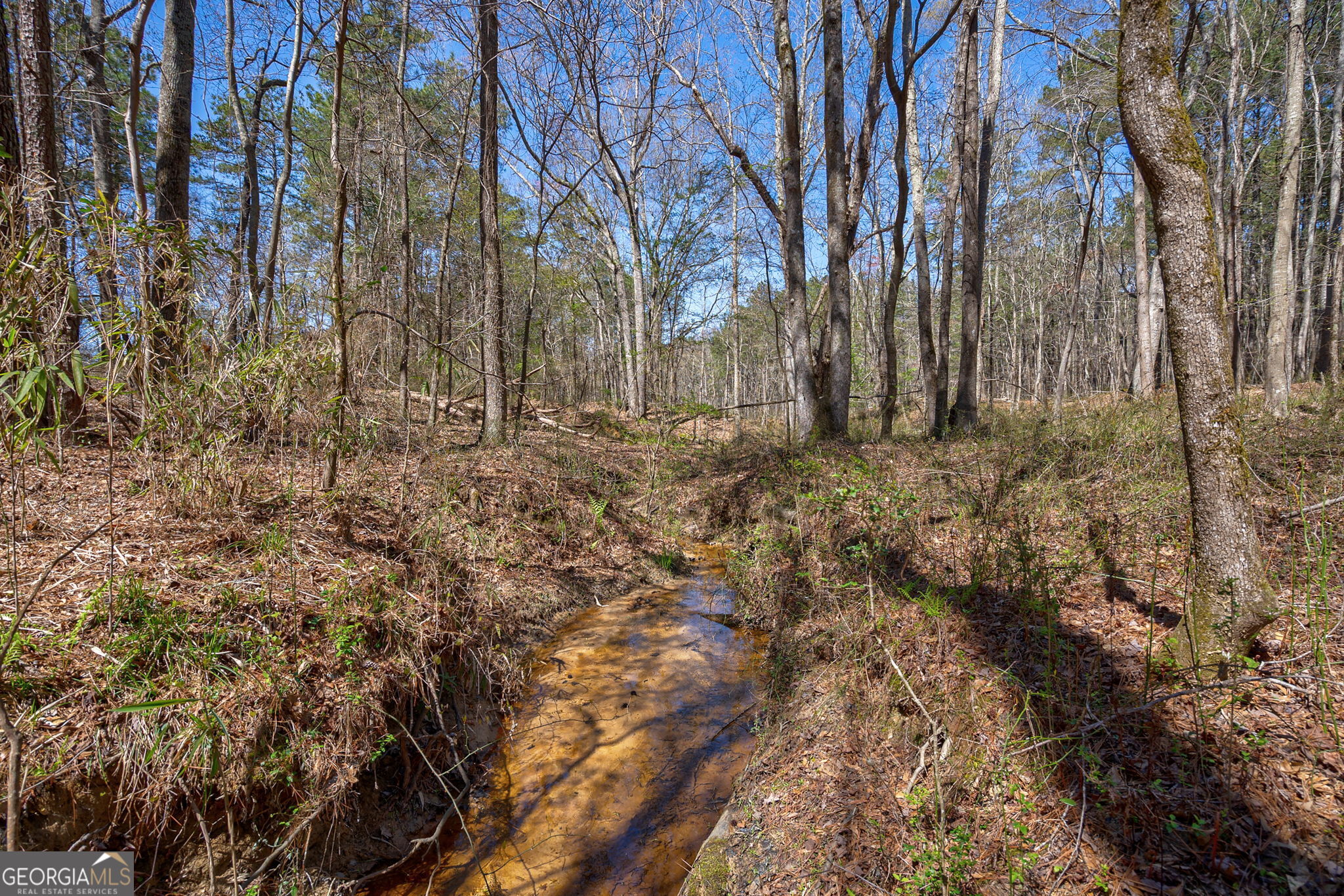 0 Poplar Street Monroe GA 30655