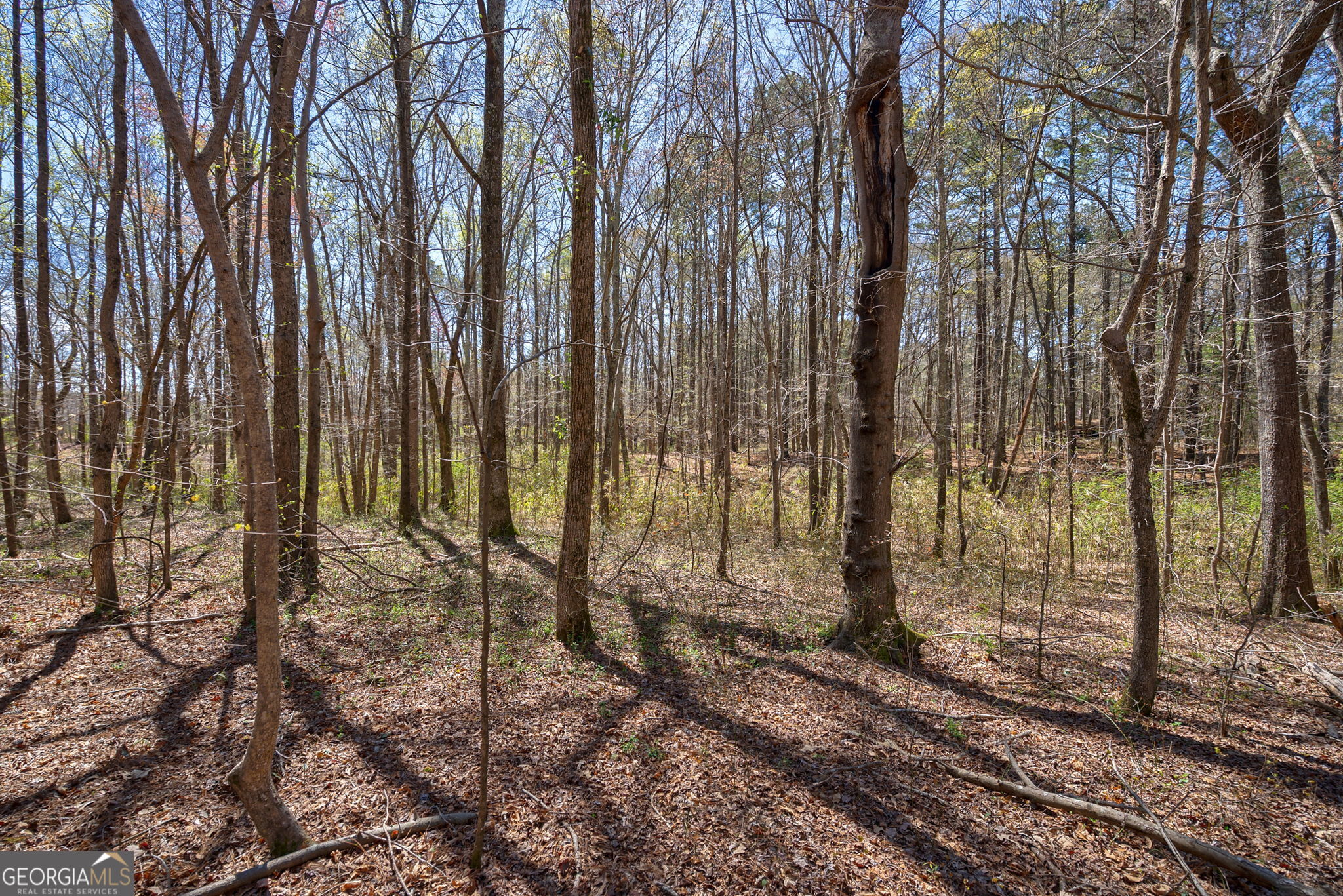 0 Poplar Street Monroe GA 30655