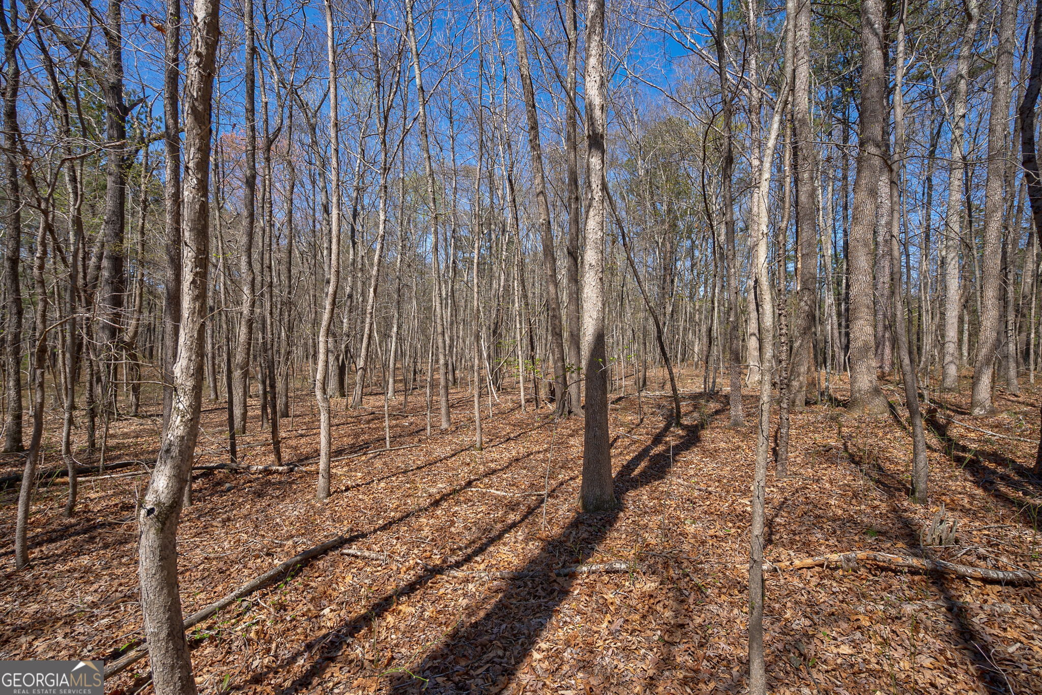 0 Poplar Street Monroe GA 30655