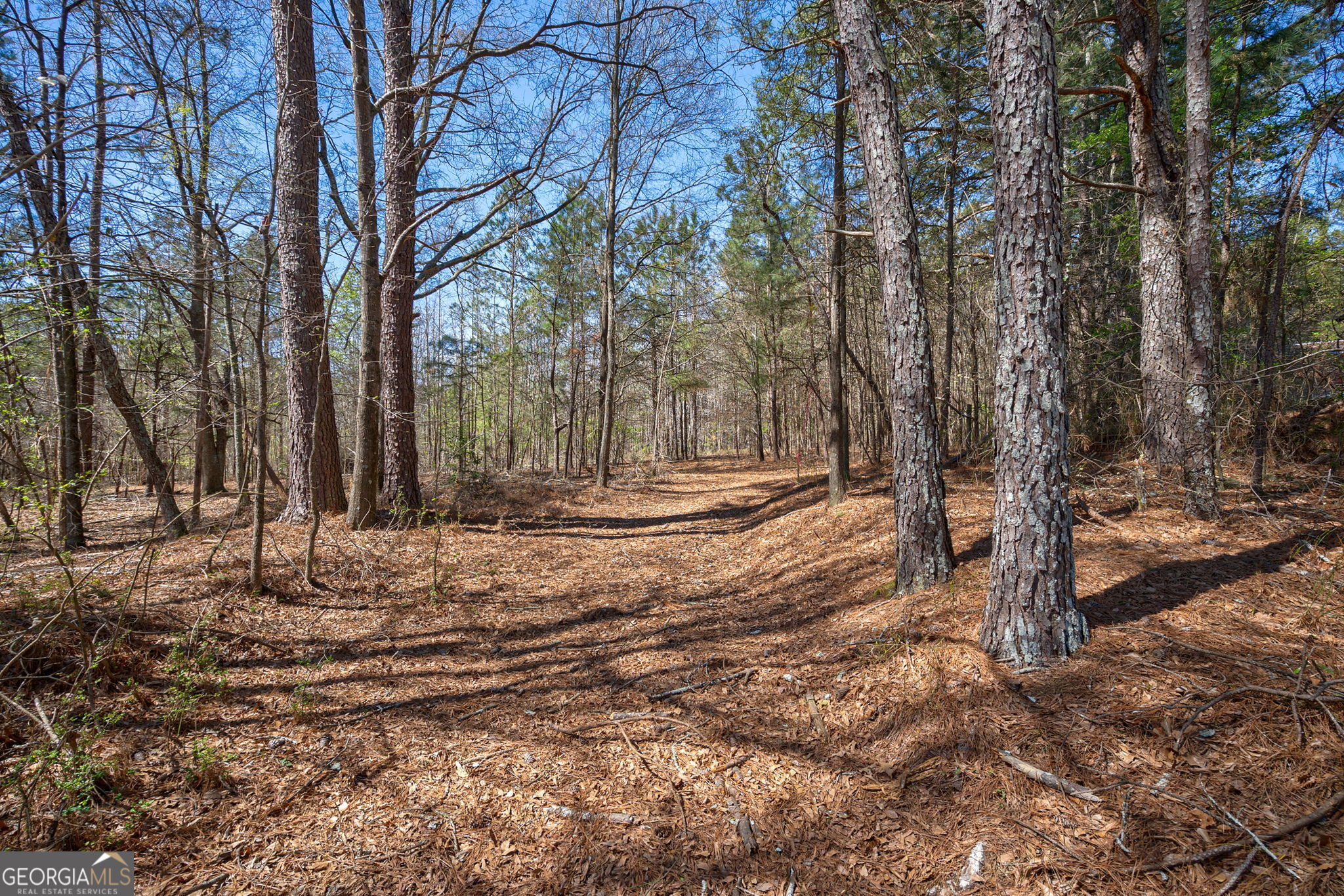 0 Poplar Street Monroe GA 30655