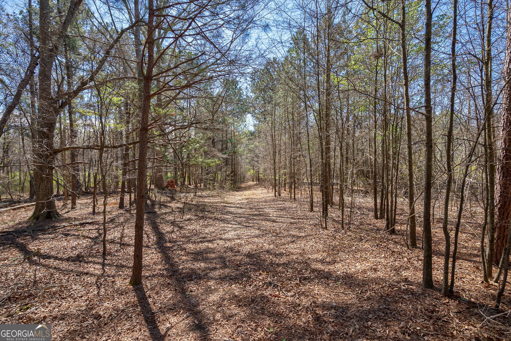 0 Poplar Street Monroe GA 30655