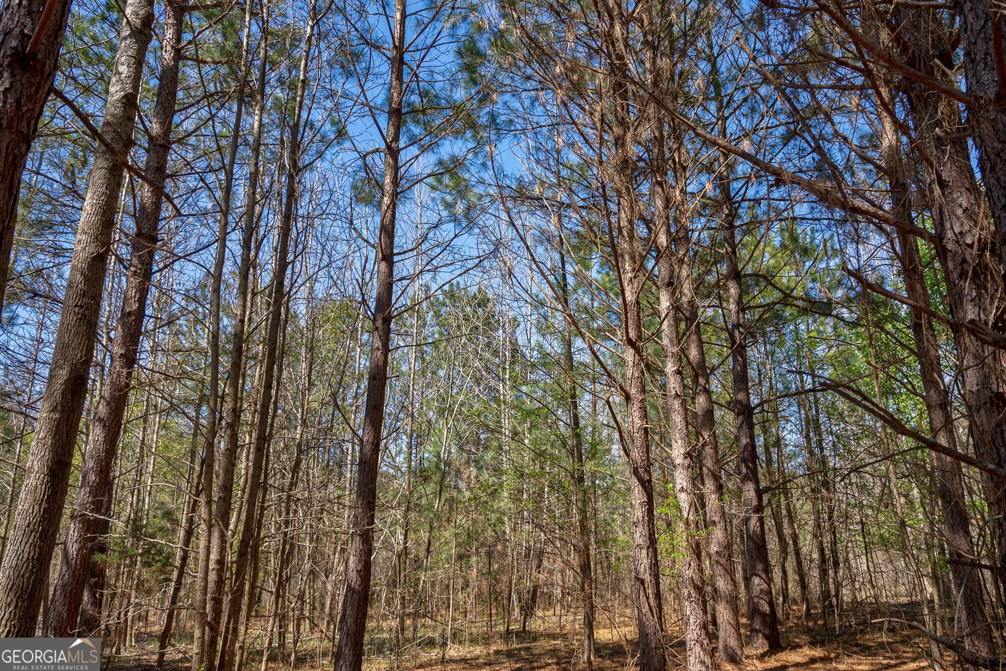 0 Poplar Street Monroe GA 30655