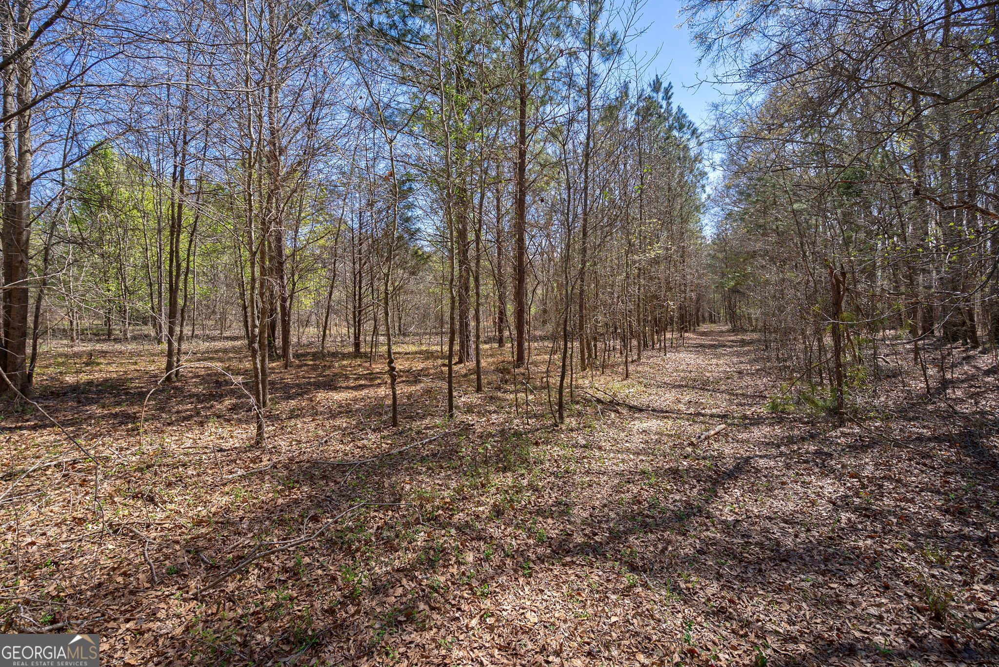 0 Poplar Street Monroe GA 30655