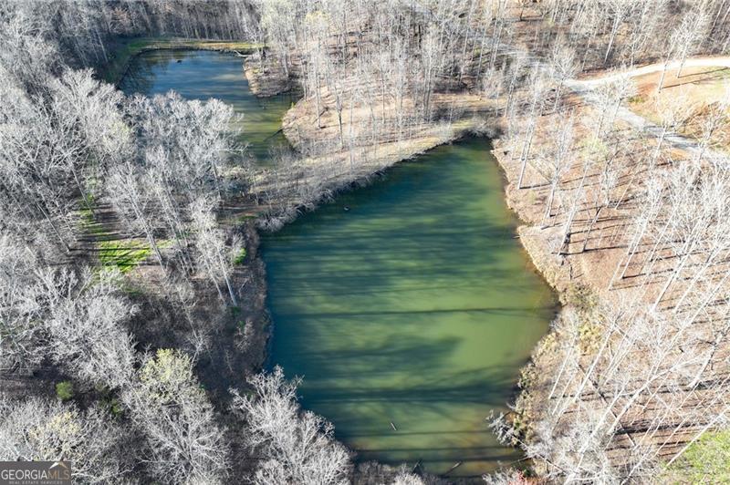Lot 49 Long Mountain Trail Cleveland GA 30528