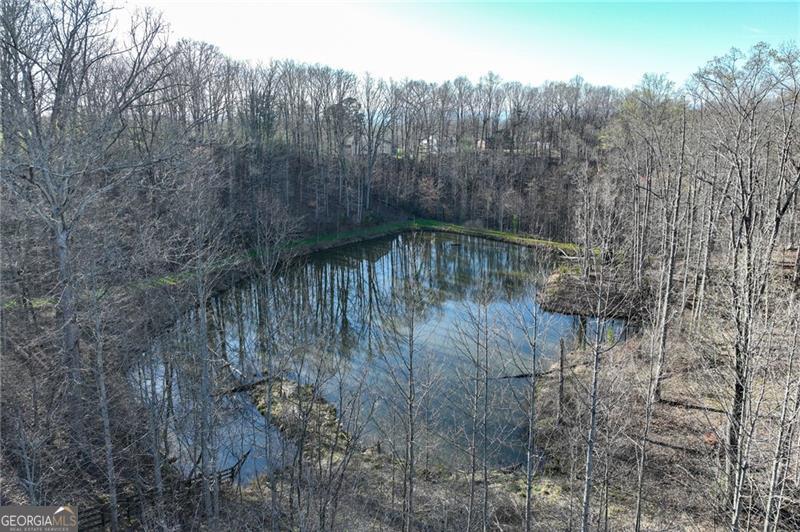 Lot 49 Long Mountain Trail Cleveland GA 30528