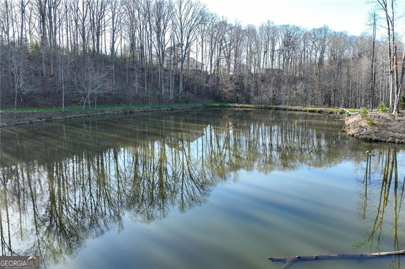 Lot 49 Long Mountain Trail Cleveland GA 30528
