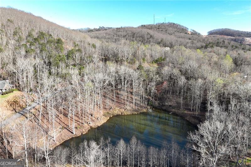 Lot 49 Long Mountain Trail Cleveland GA 30528