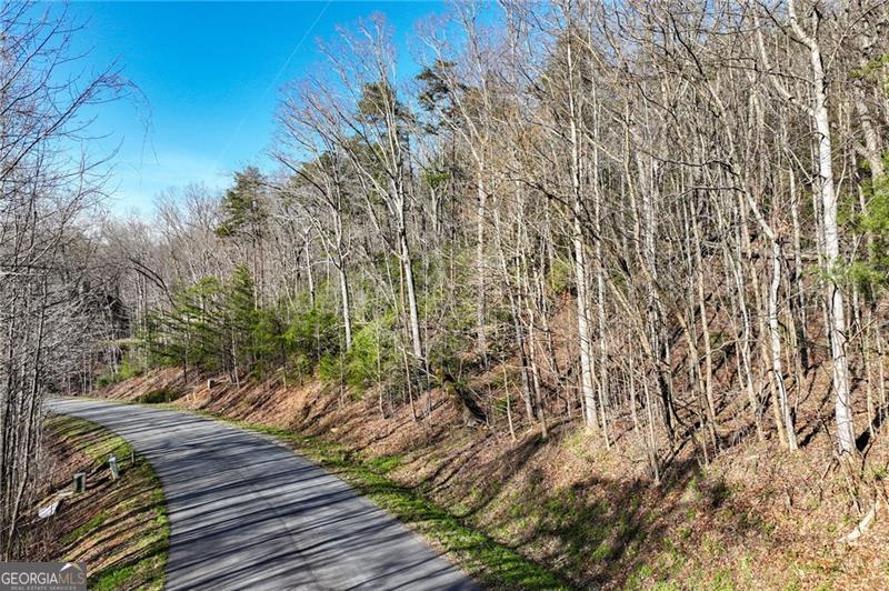 Lot 49 Long Mountain Trail Cleveland GA 30528