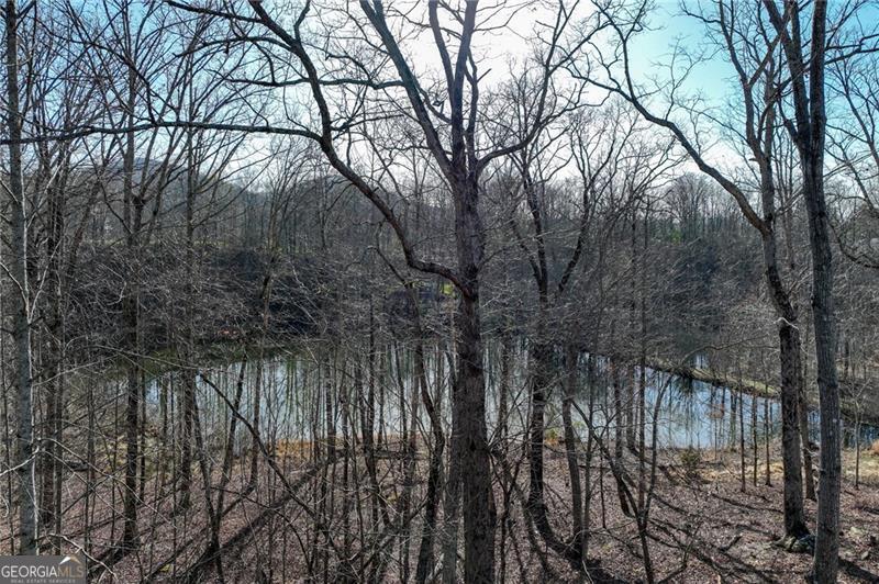 Lot 49 Long Mountain Trail Cleveland GA 30528