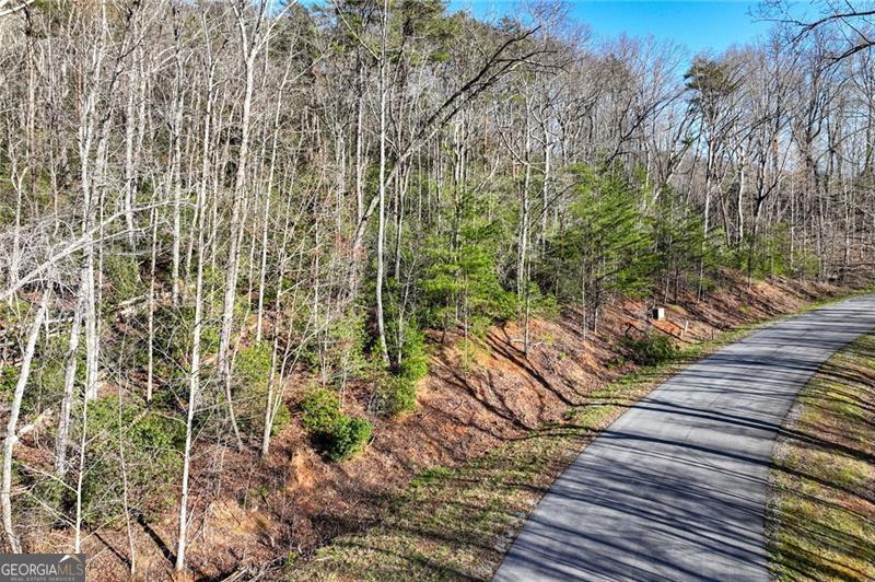 Lot 49 Long Mountain Trail Cleveland GA 30528