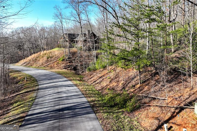 Lot 49 Long Mountain Trail Cleveland GA 30528