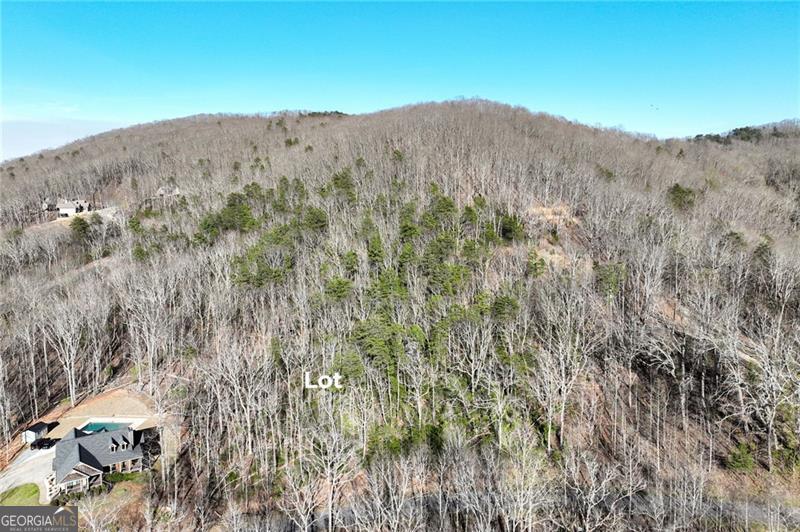 Lot 49 Long Mountain Trail Cleveland GA 30528