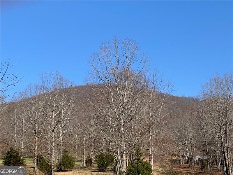 Lot 49 Long Mountain Trail Cleveland GA 30528
