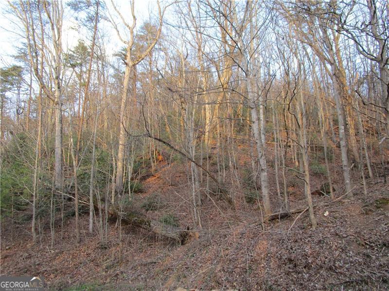 Lot 49 Long Mountain Trail Cleveland GA 30528