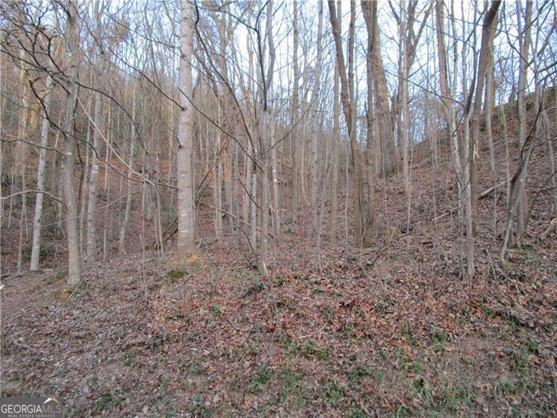 Lot 49 Long Mountain Trail Cleveland GA 30528