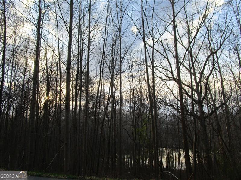 Lot 49 Long Mountain Trail Cleveland GA 30528