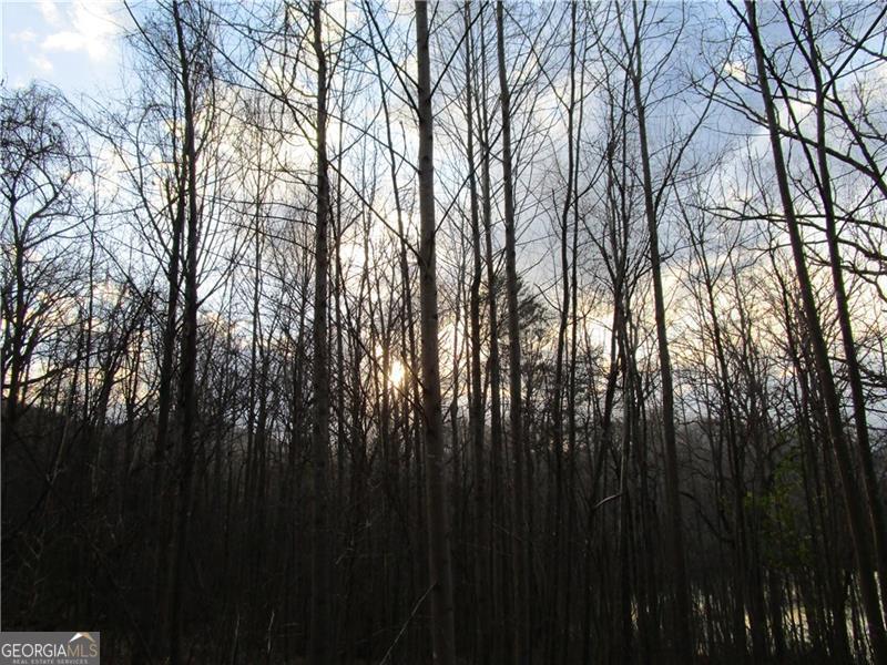 Lot 49 Long Mountain Trail Cleveland GA 30528