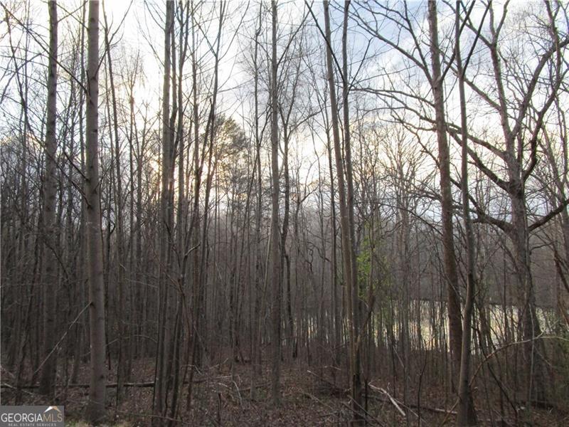Lot 49 Long Mountain Trail Cleveland GA 30528