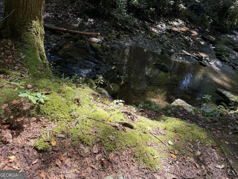 3 & 4 Jacks River Road Epworth GA 30541