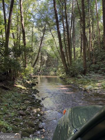 3 & 4 Jacks River Road Epworth GA 30541