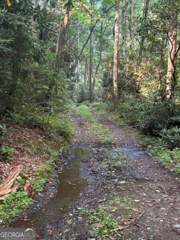 3 & 4 Jacks River Road Epworth GA 30541
