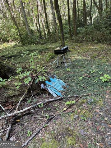 3 & 4 Jacks River Road Epworth GA 30541